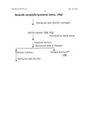 ANTIPSYCHOTIC AGENTS AND STANDARDIZED ANTIPSYCHOTIC FRACTIONS FROM     RAUWOLFIA TETRAPHYLLA AND PROCESS OF THEIR ISOLATION diagram and image