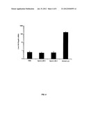 COMPOSITIONS AND METHODS FOR SILENCING APOLIPOPROTEIN C-III EXPRESSION diagram and image