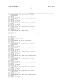 MICRORNA INHIBITORS COMPRISING LOCKED NUCLEOTIDES diagram and image