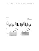 MICRORNA INHIBITORS COMPRISING LOCKED NUCLEOTIDES diagram and image