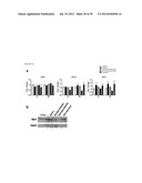 MICRORNA INHIBITORS COMPRISING LOCKED NUCLEOTIDES diagram and image