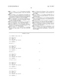 MICRORNA INHIBITORS COMPRISING LOCKED NUCLEOTIDES diagram and image