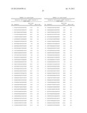 POLYNUCLEOTIDES FOR MULTIVALENT RNA INTERFERENCE, COMPOSITIONS AND METHODS     OF USE THEREOF diagram and image