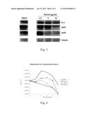 Inhibition of Glycerol-3-Phosphate Acyltransferase (GPAT) and Associated     Enzymes for Treatment of Viral Infections diagram and image