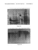 METABOLICALLY ACTIVATED RECOMBINANT VIRAL VECTORS AND METHODS FOR THEIR     PREPARATION AND USE diagram and image