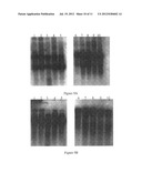 METABOLICALLY ACTIVATED RECOMBINANT VIRAL VECTORS AND METHODS FOR THEIR     PREPARATION AND USE diagram and image