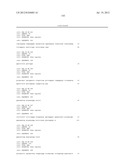 NOVEL HUMAN MICRORNAS ASSOCIATED WITH CANCER diagram and image