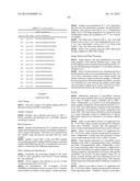 NOVEL HUMAN MICRORNAS ASSOCIATED WITH CANCER diagram and image