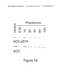 Treatment of Alzheimer s Disease diagram and image