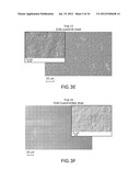 DISPERSION  METHOD FOR THE PREPARATION OF PARTICLE REINFORCED POLYMER     COMPOSITIONS diagram and image