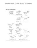 BIOCOMPATIBLE AND BIODEGRADABLE POLYMERS FROM RENEWABLE NATURAL     POLYPHENOLS diagram and image