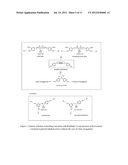 BIOCOMPATIBLE AND BIODEGRADABLE POLYMERS FROM RENEWABLE NATURAL     POLYPHENOLS diagram and image
