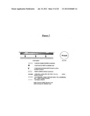 Amine Detection Method and Materials diagram and image