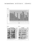 BORRELIA ANTIGENS diagram and image