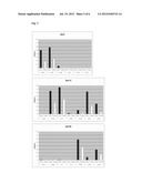 BORRELIA ANTIGENS diagram and image