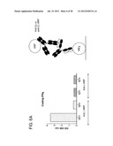 Methods for the Generation of Multispecific and Multivalent Antibodies diagram and image