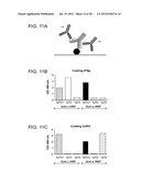 Methods for the Generation of Multispecific and Multivalent Antibodies diagram and image