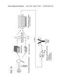 Methods for the Generation of Multispecific and Multivalent Antibodies diagram and image