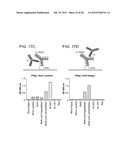 Methods for the Generation of Multispecific and Multivalent Antibodies diagram and image