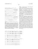 ANTIBODIES AGAINST EXTENDED TYPE 1 CHAIN ANTIGENS, DERIVATIVES THEREOF AND     USE diagram and image