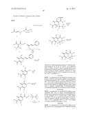 SUBSTITUTED POLYCYCLIC CARBAMOYLPYRIDONE DERIVATIVE diagram and image