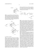 SYNTHETIC TRANSTAGANOLIDE AND BASILIOLIDE PRODUCTS, DERIVATIVES THEREOF,     AND SYNTHESIS METHODS THEREOF diagram and image