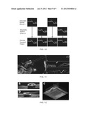 IMAGING AND VISUALIZATION SYSTEMS, INSTRUMENTS, AND METHODS USING OPTICAL     COHERENCE TOMOGRAPHY diagram and image