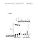  MULTICOMPONENT MAGNETIC NANOPARTICLE DELIVERY SYSTEM FOR LOCAL DELIVERY     TO HEART VALVE LEAFLETS AND OTHER ANIMAL TISSUES diagram and image