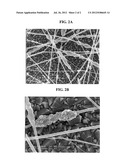 DYE SENSITIZED SOLAR CELL, AND METHOD OF MANUFACTURING THE SAME diagram and image