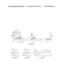 SAMPLE CARRIER AND SAMPLE CARRIER PROCESSING APPARATUS diagram and image