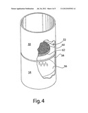 BACTERIA DEACTIVATION METHOD AND APPARATUS diagram and image