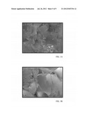 CONDITIONING COMPOSITIONS FOR SOLAR CELLS diagram and image