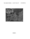 PEROVSKITE-TYPE STRONTIUM TITANATE diagram and image