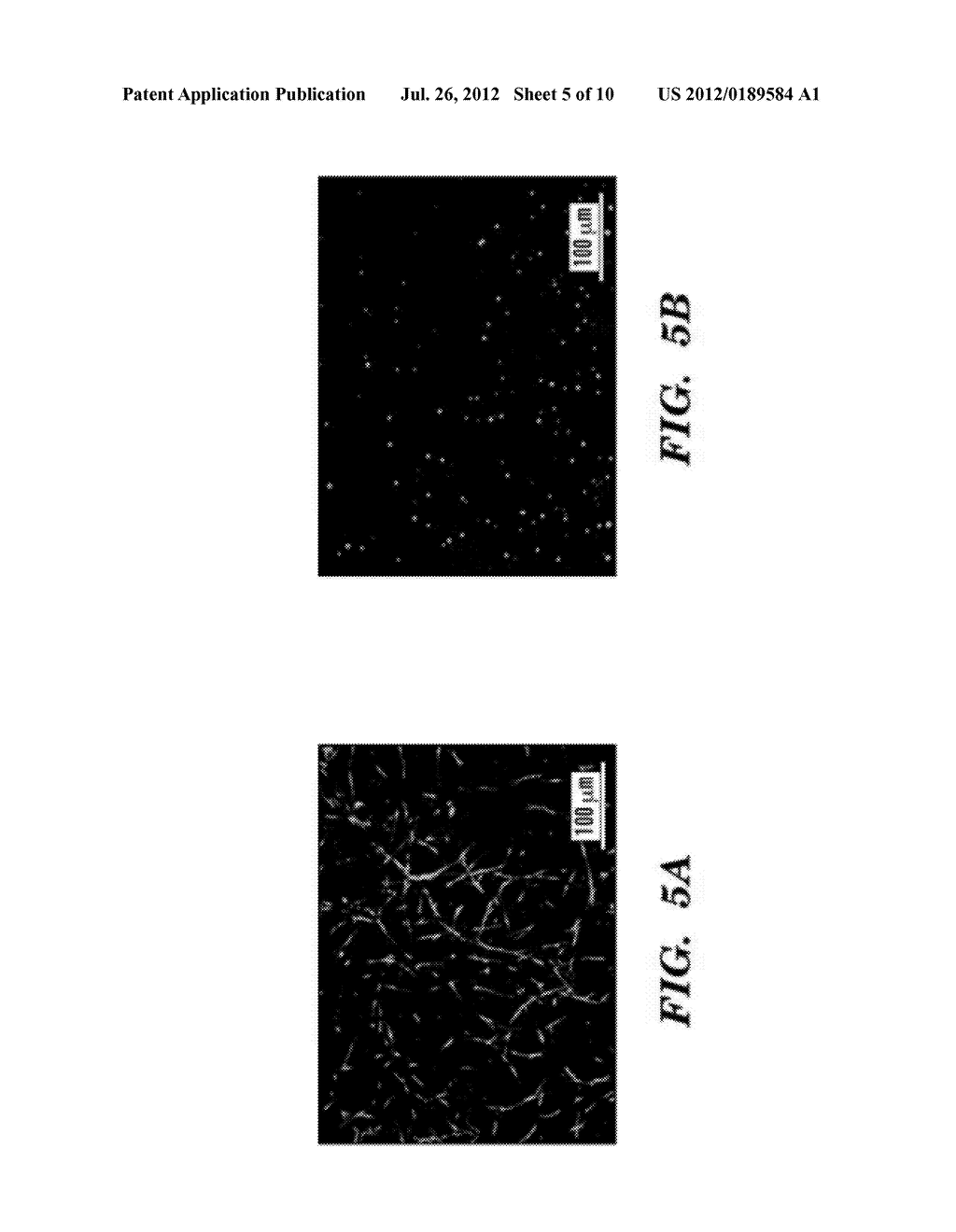 GENIPIN CROSS-LINKED FIBRIN GELS - diagram, schematic, and image 06