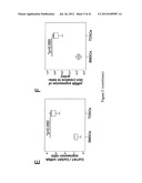 CELL SHEET FOR TISSUE REPAIR AND BIO-ARTIFICIAL TISSUE ENGINEERING, METHOD     OF PRODUCING THE SAME AND METHOD OF USING THE SAME diagram and image