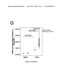 CELL SHEET FOR TISSUE REPAIR AND BIO-ARTIFICIAL TISSUE ENGINEERING, METHOD     OF PRODUCING THE SAME AND METHOD OF USING THE SAME diagram and image