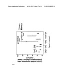 CELL SHEET FOR TISSUE REPAIR AND BIO-ARTIFICIAL TISSUE ENGINEERING, METHOD     OF PRODUCING THE SAME AND METHOD OF USING THE SAME diagram and image