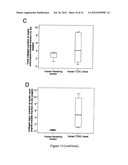 CELL SHEET FOR TISSUE REPAIR AND BIO-ARTIFICIAL TISSUE ENGINEERING, METHOD     OF PRODUCING THE SAME AND METHOD OF USING THE SAME diagram and image