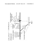 CROSS-  STRUCTURE COMPRISING AMYLOID-BINDING PROTEINS AND METHODS FOR     DETECTION OF THE CROSS-  STRUCTURE, FOR MODULATING CROSS-  STRUCTURES     FIBER FORMATION AND FOR MODULATING CROSS-  STRUCTURE-MEDIATED TOXICITY diagram and image