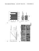 CROSS-  STRUCTURE COMPRISING AMYLOID-BINDING PROTEINS AND METHODS FOR     DETECTION OF THE CROSS-  STRUCTURE, FOR MODULATING CROSS-  STRUCTURES     FIBER FORMATION AND FOR MODULATING CROSS-  STRUCTURE-MEDIATED TOXICITY diagram and image