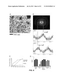 CROSS-  STRUCTURE COMPRISING AMYLOID-BINDING PROTEINS AND METHODS FOR     DETECTION OF THE CROSS-  STRUCTURE, FOR MODULATING CROSS-  STRUCTURES     FIBER FORMATION AND FOR MODULATING CROSS-  STRUCTURE-MEDIATED TOXICITY diagram and image