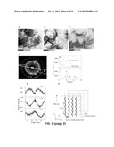 CROSS-  STRUCTURE COMPRISING AMYLOID-BINDING PROTEINS AND METHODS FOR     DETECTION OF THE CROSS-  STRUCTURE, FOR MODULATING CROSS-  STRUCTURES     FIBER FORMATION AND FOR MODULATING CROSS-  STRUCTURE-MEDIATED TOXICITY diagram and image