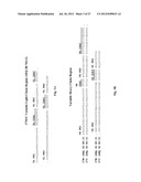 ANTI-KIT ANTIBODIES AND USES THEREOF diagram and image