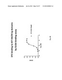 ANTI-KIT ANTIBODIES AND USES THEREOF diagram and image