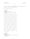 ANTI-KIT ANTIBODIES AND USES THEREOF diagram and image