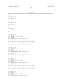 ANTI-KIT ANTIBODIES AND USES THEREOF diagram and image