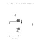 ANTI-KIT ANTIBODIES AND USES THEREOF diagram and image