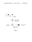 CANCER STEM CELL ANTIGEN VACCINES AND METHODS diagram and image