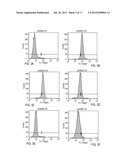 CANCER STEM CELL ANTIGEN VACCINES AND METHODS diagram and image