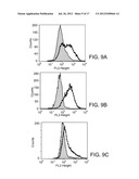 CANCER STEM CELL ANTIGEN VACCINES AND METHODS diagram and image